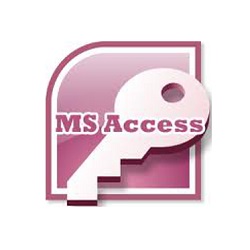 ms access as database San Jose Programmer